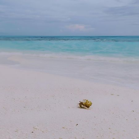 Bougan Villea Retreat Bodufolhudhoo Kültér fotó